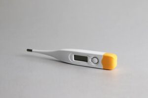 Fever Dreams and Their Connection to Neural Hyperactivity During Elevated Temperatures